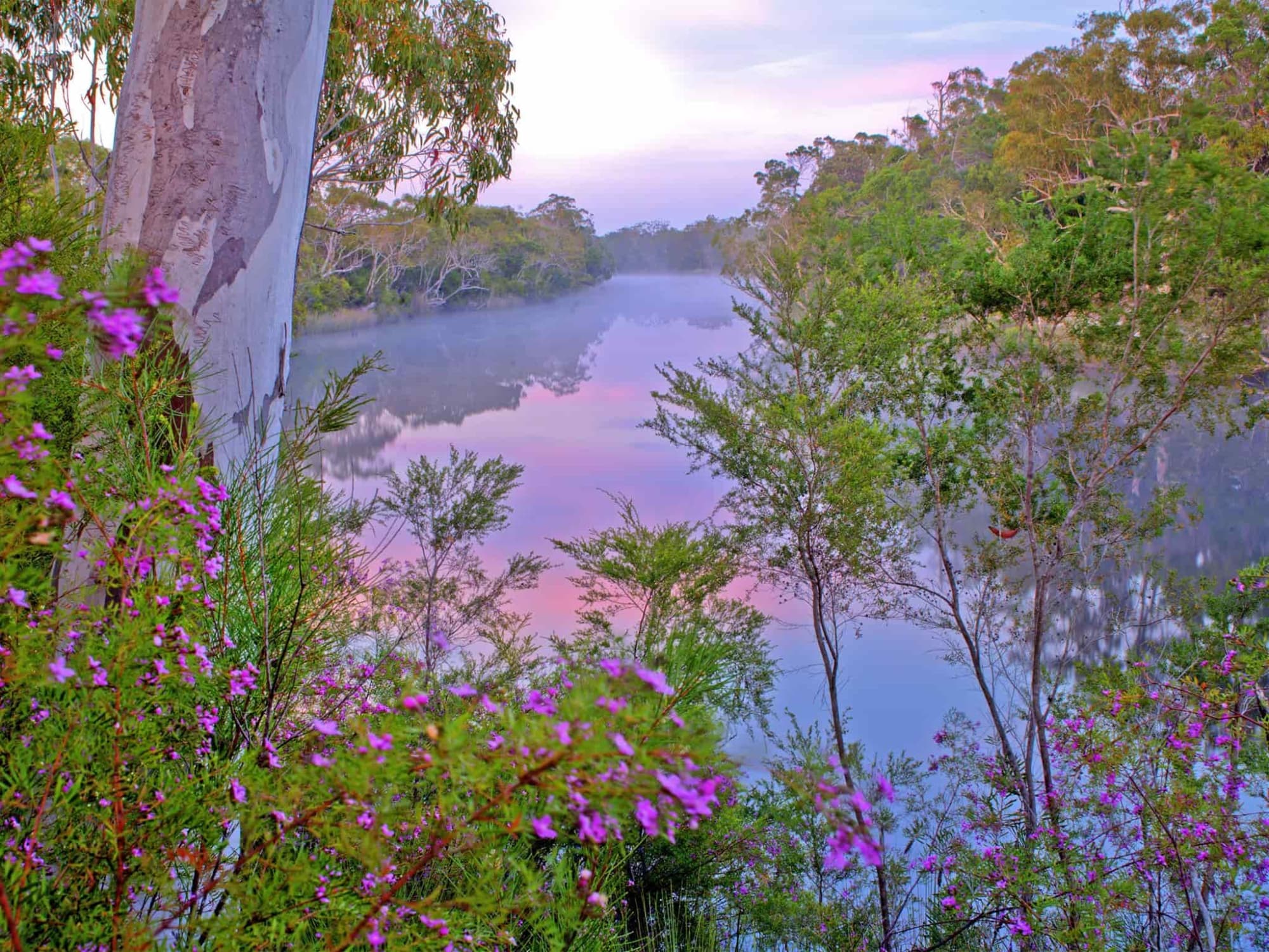 Don't miss sunrise over the Noosa River at Dutgee walkers' camp by Rob Cameron QLD GOVT
