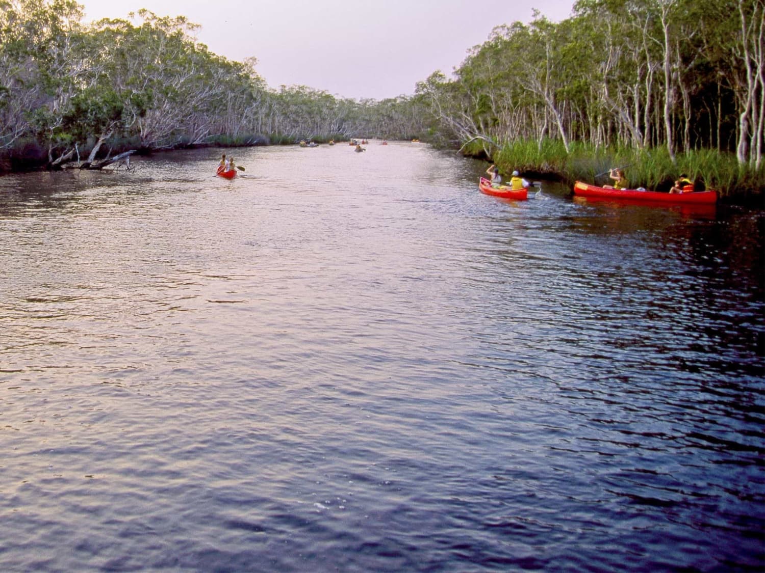 Embark on the ultimate canoeing adventure and experience the best remote river camping along the Upper Noosa River waterway by Adam Creed QLD