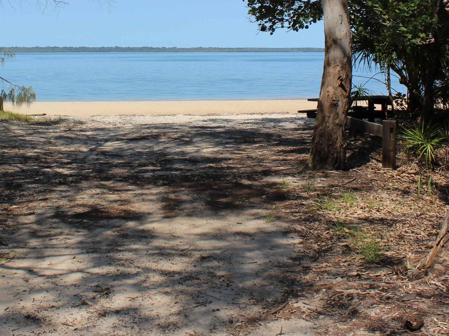 This view is waiting for you!
Photo credit: Rob Cameron © Queensland Government